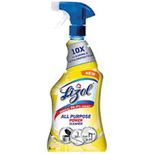LIZOL ALL PURPOSE CLEANER 450ml